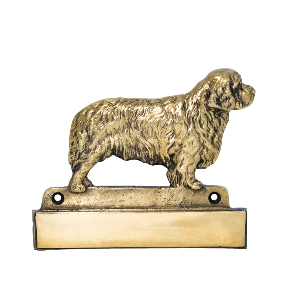 Clumber Spaniel plakietka na drzwi Art-Dog